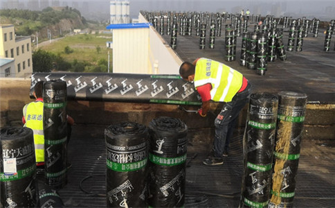 9db4ae8f161e53d93d7eec286c313cf7.jpg tu10.jpg