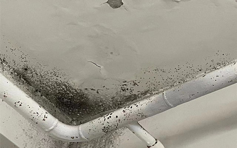 c9e4460549dd68a174c925948d736a90.jpg 房頂女兒墻角漏水