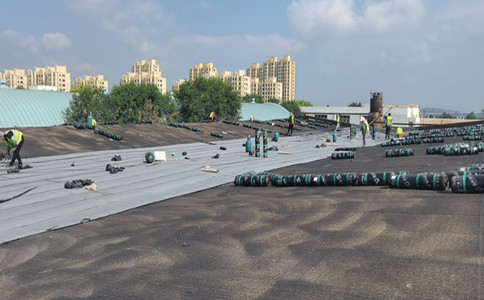 8677929efb914844209750eab076566b.jpg 微信圖片_20210907162620_副本.jpg