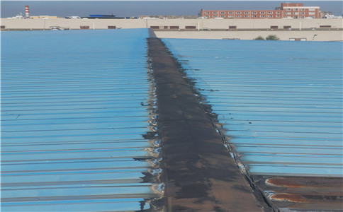 a513c27efc0dae518d4f3c75c6e411cf.jpg IMG_20220924_142441.jpg